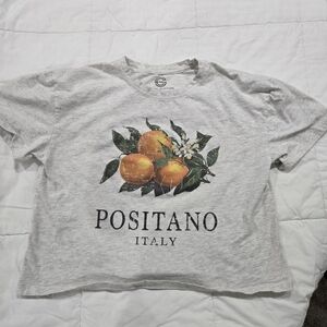 Gray Positano Italy Crop Top